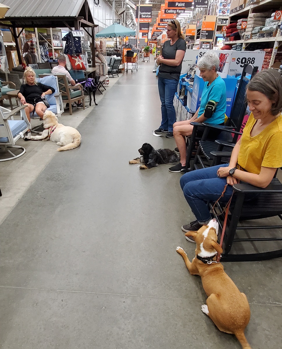Dog training group class at Home Depot in Virginia Beach