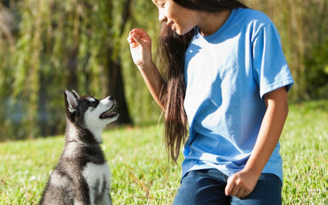 The Best Methods to Train Your Puppy?