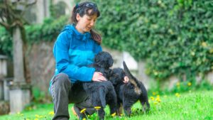 best puppy training class near me