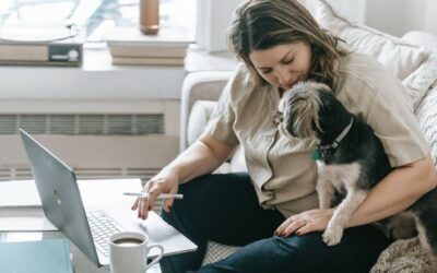 New Pet Owners Can Start a Successful Small Business With These Strategies