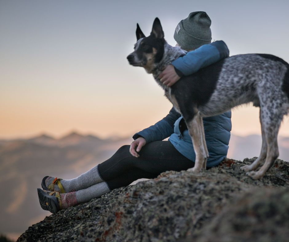Dog owner with Australian Cattle Dog looking down from a mountain
