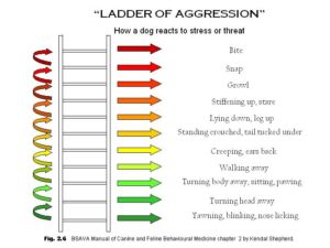 ladder of aggression