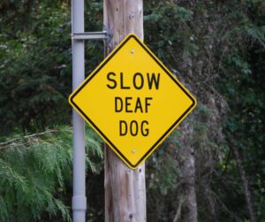 Yellow sign slow deaf dog