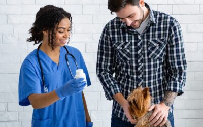 Understanding: Why Does My Dog Get So Nervous at the Vet
