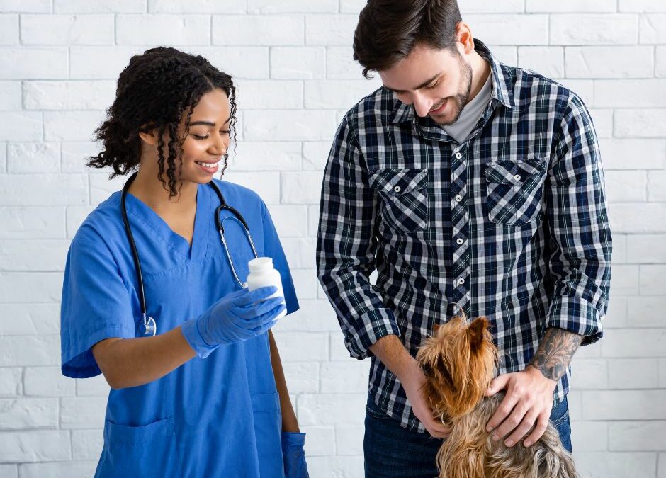 Understanding: Why Does My Dog Get So Nervous at the Vet