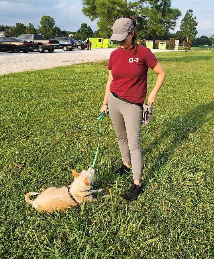 tan terrier training at Deep Creek Park in Chesapeake, VA