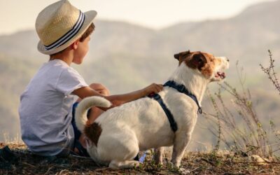 Essential Dog and Child Safety Tips