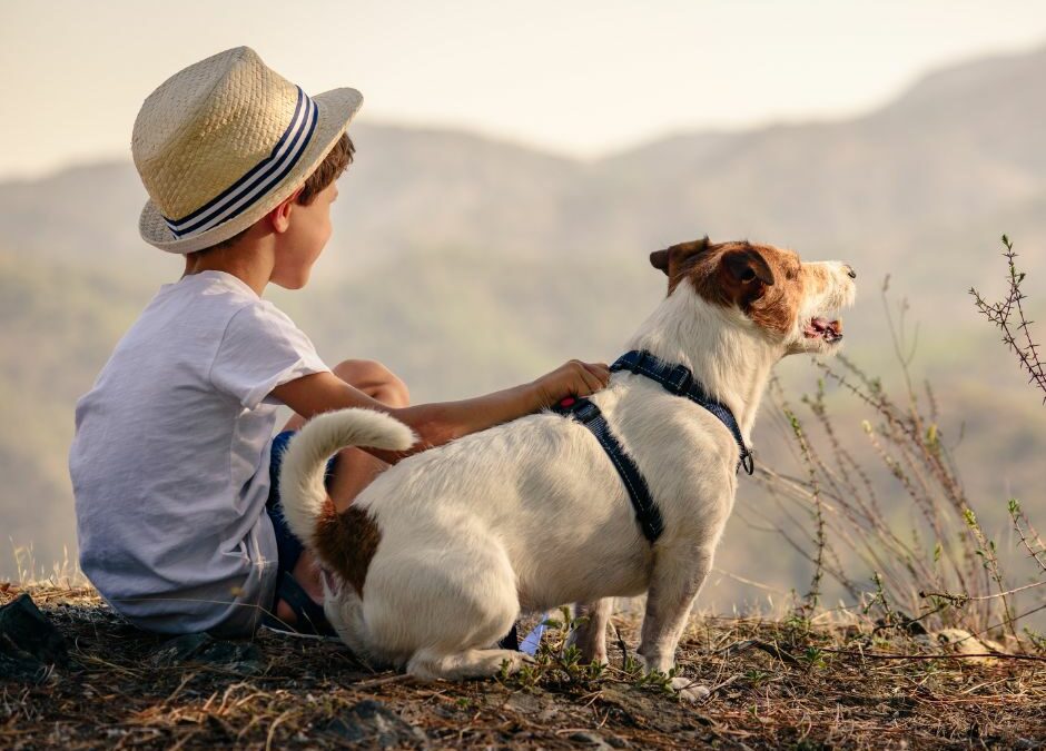 Essential Dog and Child Safety Tips