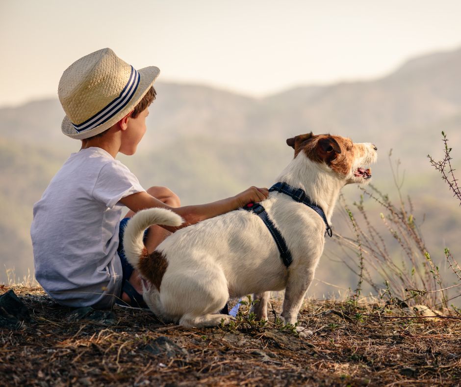 young child with Jack Russell terrier