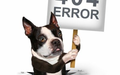 Common Dog Training Mistakes and How to Avoid Them