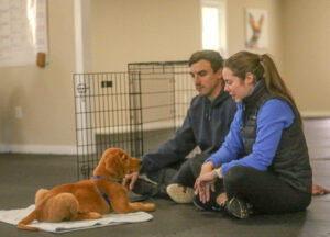 Golden Retriever puppy practicing settling on a mat during a Great Start Puppy class with engaged owners at Freak On A Leash Dog Training facility in Chesapeake, VA