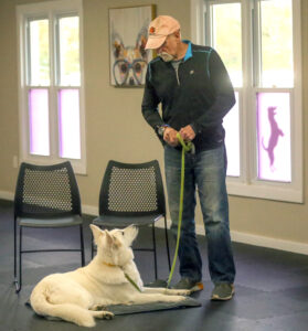White Swiss Shepherd lying calmly on a mat during a training session with their handler at Freak On A Leash Dog Training facility. A peaceful environment for building trust and strong skills.