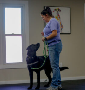 Trainer working one-on-one with a black Labrador, focusing on engagement and obedience during a session at Freak On A Leash Dog Training facility.