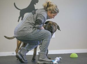 Teenage Tyrants Next Level Class for Adolescent dogs in Chesapeake and Virginia beach