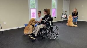 Therapy Dog Prep class at Freak On A Leash