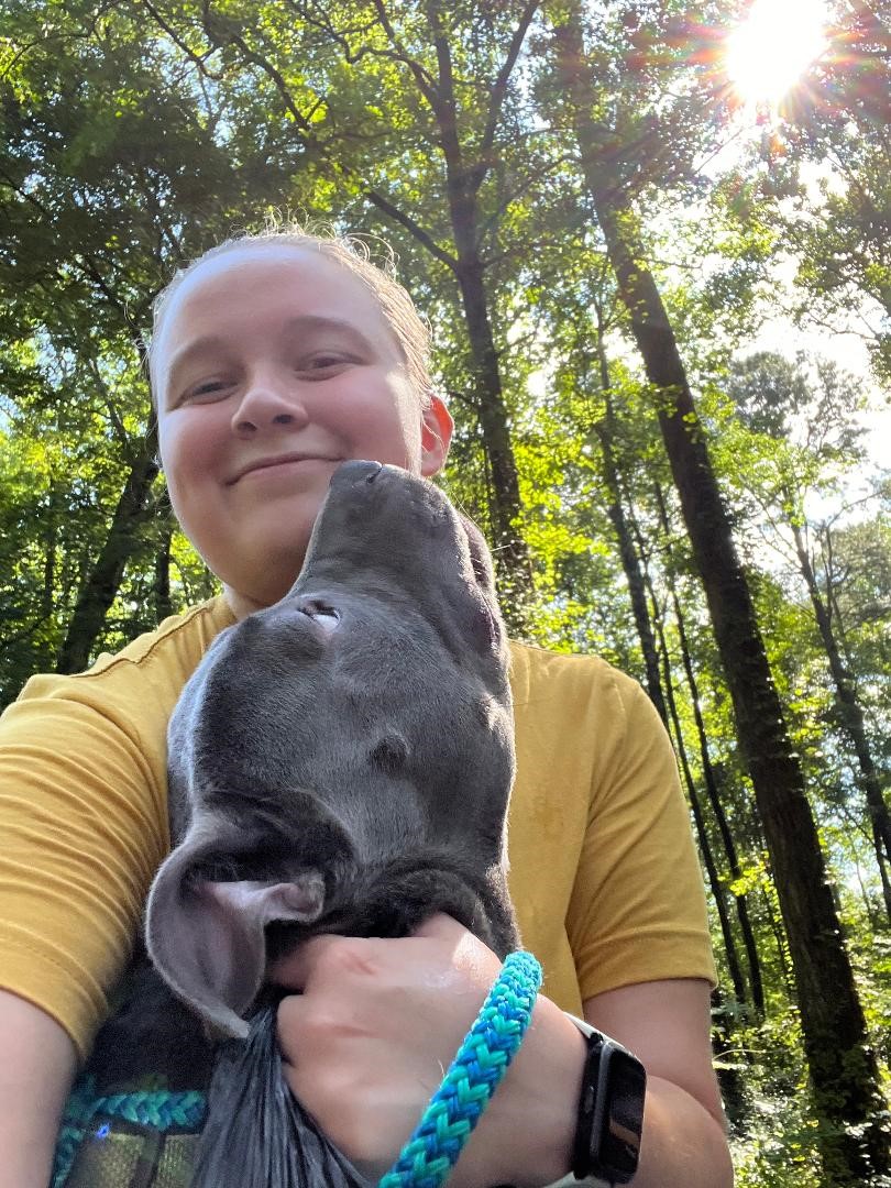 Dog trainer Anne Marie with grey Pitbull rescue in Chesapeake