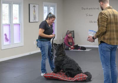 German Shepherd dog at Teenage Tyrants class in Chesapeke